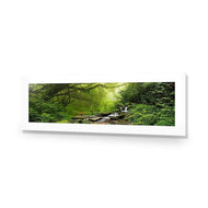 Romantic Rainforest