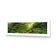 Romantic Rainforest