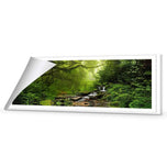 Romantic Rainforest