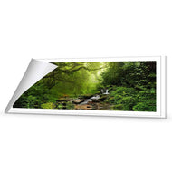 Romantic Rainforest