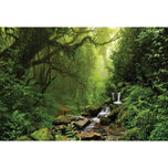 Romantic Rainforest
