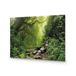 Romantic Rainforest