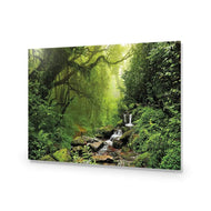 Romantic Rainforest