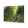 Romantic Rainforest