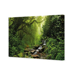 Romantic Rainforest
