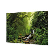 Romantic Rainforest