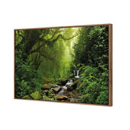 Romantic Rainforest