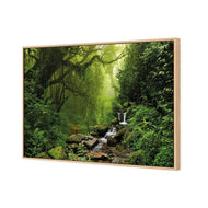 Romantic Rainforest