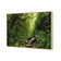 Romantic Rainforest