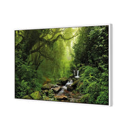 Romantic Rainforest