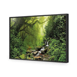 Romantic Rainforest