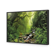 Romantic Rainforest