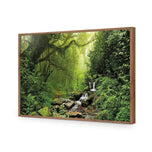 Romantic Rainforest
