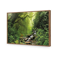 Romantic Rainforest