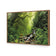 Romantic Rainforest