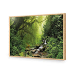 Romantic Rainforest
