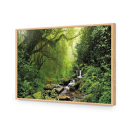 Romantic Rainforest