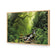 Romantic Rainforest