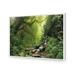 Romantic Rainforest