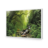 Romantic Rainforest