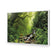 Romantic Rainforest
