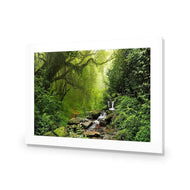 Romantic Rainforest