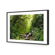 Romantic Rainforest