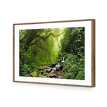 Romantic Rainforest