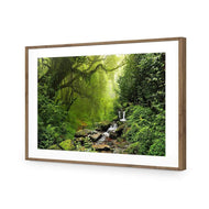 Romantic Rainforest