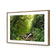 Romantic Rainforest
