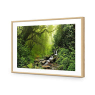 Romantic Rainforest