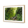Romantic Rainforest