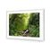 Romantic Rainforest