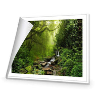 Romantic Rainforest