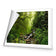 Romantic Rainforest