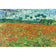 Poppy Field By Vincent Van Gogh