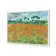 Poppy Field By Vincent Van Gogh