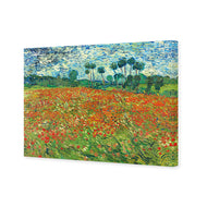Poppy Field By Vincent Van Gogh