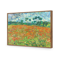 Poppy Field By Vincent Van Gogh