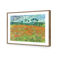 Poppy Field By Vincent Van Gogh