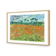 Poppy Field By Vincent Van Gogh