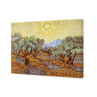 Van Gogh - Olive Trees