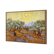 Van Gogh - Olive Trees