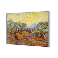 Van Gogh - Olive Trees