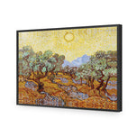 Van Gogh - Olive Trees