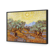 Van Gogh - Olive Trees