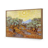 Van Gogh - Olive Trees