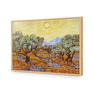 Van Gogh - Olive Trees