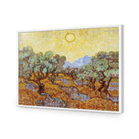 Van Gogh - Olive Trees