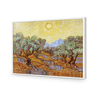 Van Gogh - Olive Trees